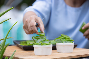 Preparing Fresh Aloe Vera Gel: Slicing and Storing Aloe Leaves for Skincare and Health Benefits
