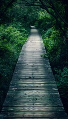 Obraz premium A wooden boardwalk winds through a lush green forest, inviting you to explore the unknown.