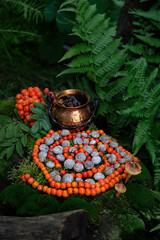 witch cauldron and spiral made of snail shells and rowan berries in forest. Magic, Witchcraft,...