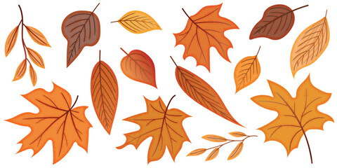 Fototapeta premium Autumn leaves isolated on a white background, vector illustration