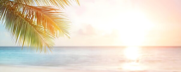 Tropical Paradise Sunset - Palm Fronds Swaying in Salty Breeze at Coastal Island Shoreline Capturing the Warm Glow of Natures Serenity