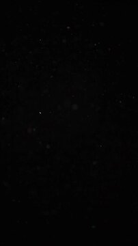 vertical footage of flying dust black background