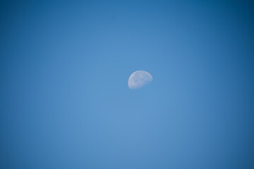 昼の月