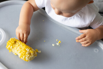 Obraz premium Little child picking by fingers sweet corn kernels from the table. Closeup.