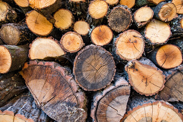 Naklejka premium Wood logs for firewood. Close-up, selective focus