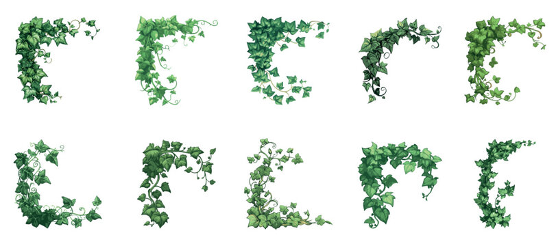 Ivy frame corners set. Liana climbing vine creeper plant green leaves. Decorative grapes hanging on wall. Botanical nature foliage rectangular border corner. Cartoon style isolated vector clipart