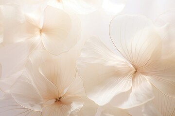 Fototapeta premium Abstract beige lotus petals background wedding flower clothing.