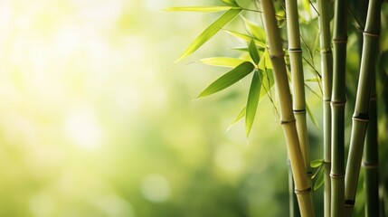 Obraz premium A close-up of bamboo stalks against a soft, natural green background.