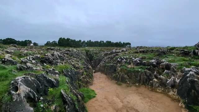 V&iacute;deo com os Buf&otilde;es de Arenillas em a&ccedil;&atilde;o em Espanha em meio &agrave; natureza num dia muito nublado