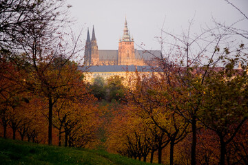 A picturesque scene of autumn trees with colorful leaves leading to a distant historical castle, capturing the beauty of fall and architectural elegance in Prague