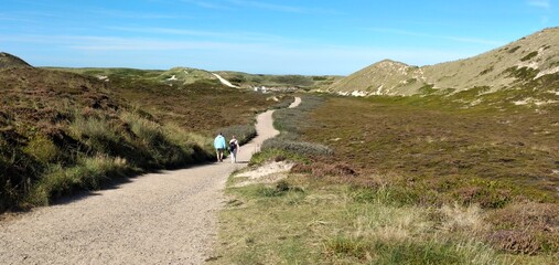 Dünen auf Sylt