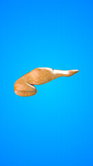 Human internal organ of Pancreas