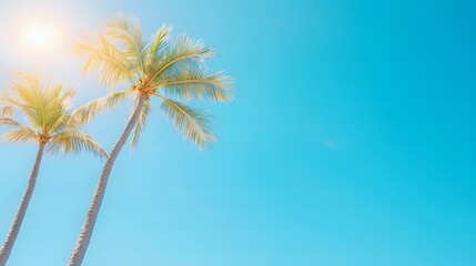 Seaside Office Serenity - Boost Your Productivity with Sunny Beach Vibes and Swaying Palm Trees Under Blue Skies
