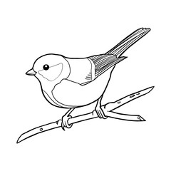 Cute Bird Coloring Page, Kids Coloring Book, Birds Character Vector Illustration