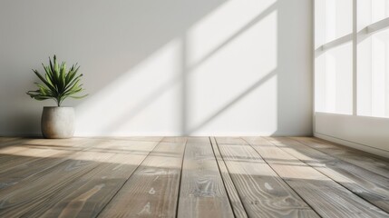 Empty minimalist room with wooden floors, a single potted plant, and sunlight streaming through large windows, emphasizing simplicity and calmness.