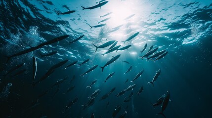 Fish silhouetted against shimmering sunlight in the ocean, evoking a sense of wonder and exploration beneath the water’s surface.
