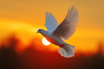 Fototapeta premium A white dove flies against a vibrant orange sunset, its wings outstretched and feathers catching the light.