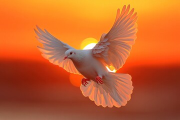A white dove in flight against a fiery orange sunset.