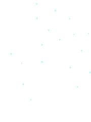 snow flakes in small group two color shape