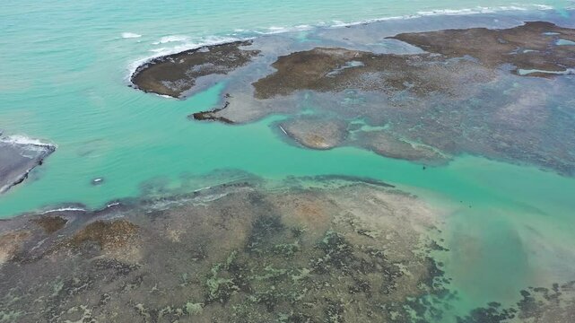 Praia do Patacho no Litoral norte do estado de Alagoas no nordeste do Brasil - Visto de cima com drone 4k