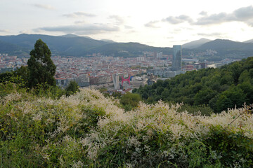 View of Bilbao from the mountain