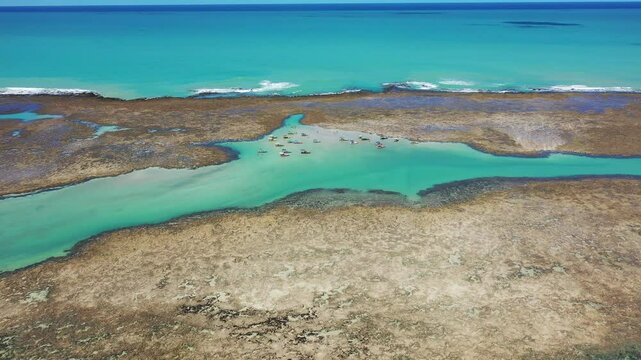Praia do Patacho no Litoral norte do estado de Alagoas no nordeste do Brasil - Visto de cima com drone 4k