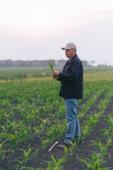 A man stands in a field while holding a plant.