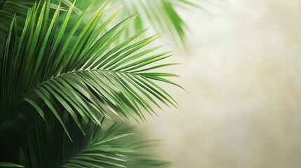Fototapeta premium beautiful palm leaf background with bright green foliage and tropical pattern, ideal for creating an exotic and natural outdoor landscape scene