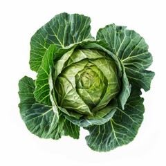 Obraz premium Cabbage leaves isolated on white background