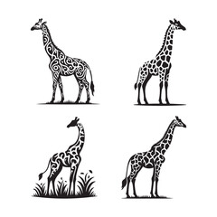 Fototapeta premium Set of Giraffe Vector Art for Creative Projects.