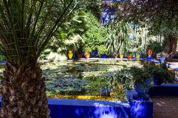 Flowers in the garden Majorelle, Morocco, Marrakech