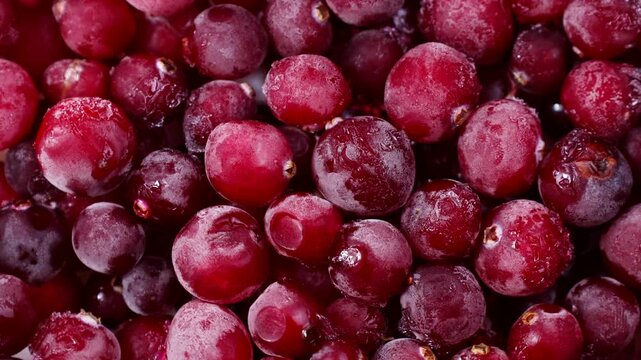 Iced cranberries close up. Frozen cranberry background circle rotation top view