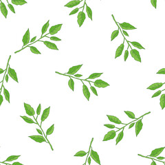 Hand drawn vector seamless pattern of lemon leaves. Great for poster, menu or label.