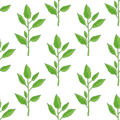 Hand drawn vector seamless pattern of lemon leaves. Great for poster, menu or label.