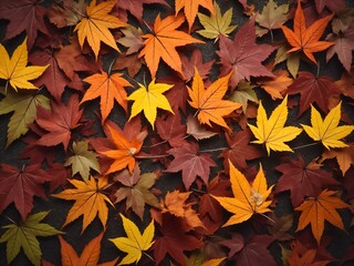 Fototapeta premium カエデ・紅葉した赤・緑・紫・オレンジの葉がボードの上に散らばって敷き詰められている Maple leaves in red, green, purple, and orange autumn colors are scattered and spread across the board