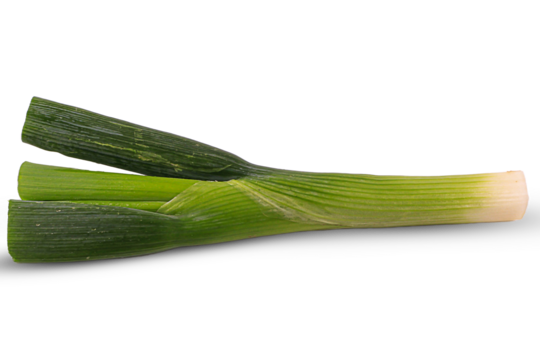 Green onion isolated 