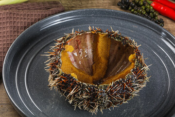 Delicous luxury raw sea urchin