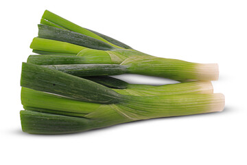 Green onion isolated 