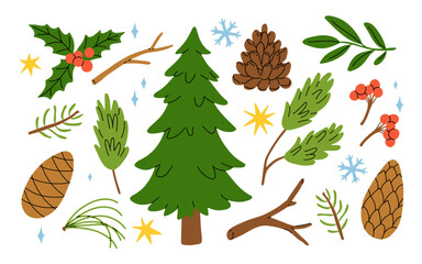 Christmas vector plant, pine cone, branch spruce and fir, evergreen tree, holly berry, rowan isolated on white background. Cartoon holiday nature illustration
