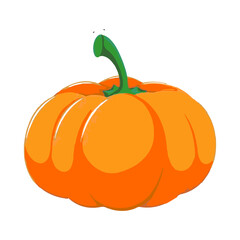 Pumpkin vector illustration and art work