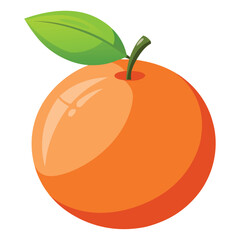 Grapefruit vector illustration on white background.