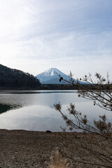 Mt. Fuji / 富士山 