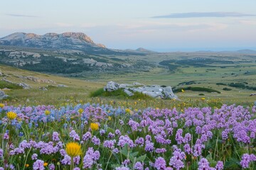 Obraz premium Purple flowers bloom in a grassy field, with rocky mountains and a valley in the distance. AI generative. .