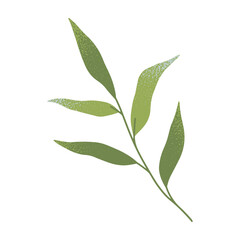 Vector green summer or spring branches and leaves.Simple element for botany emblem design.Organic logo template.Hand drawn floral illustration for prints,flyers,banners,invitations,branding design
