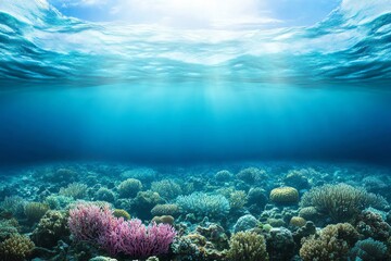 Naklejka premium Underwater scene showcasing vibrant coral reefs and clear blue water.
