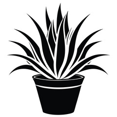 Alovera plant vector silhouette