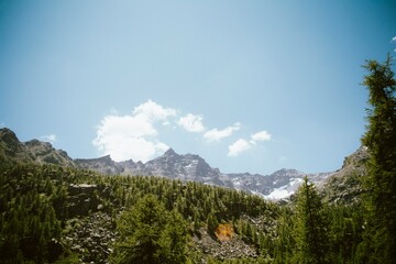 Sunny mountain landscape with lush green forest and rocky peaks
