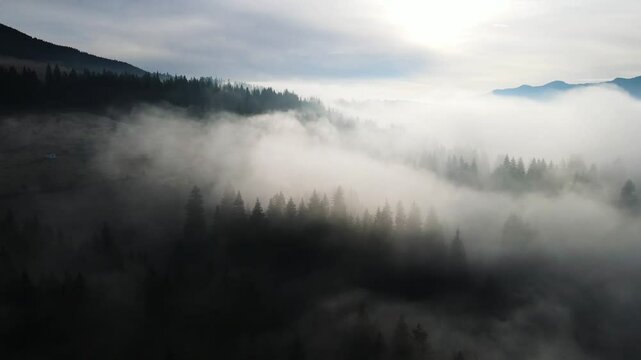 fog mountains forest drone view flyby