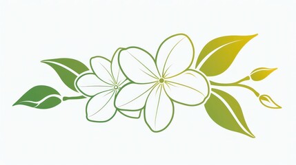 Fototapeta premium Simple outline of a jasmine flower