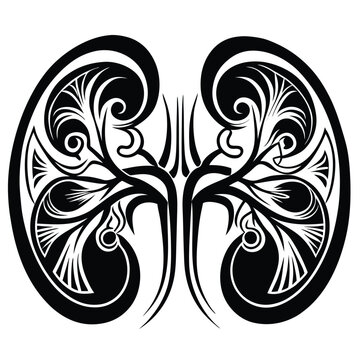recommend clip art: Human kidney vector silhouette line art style 
